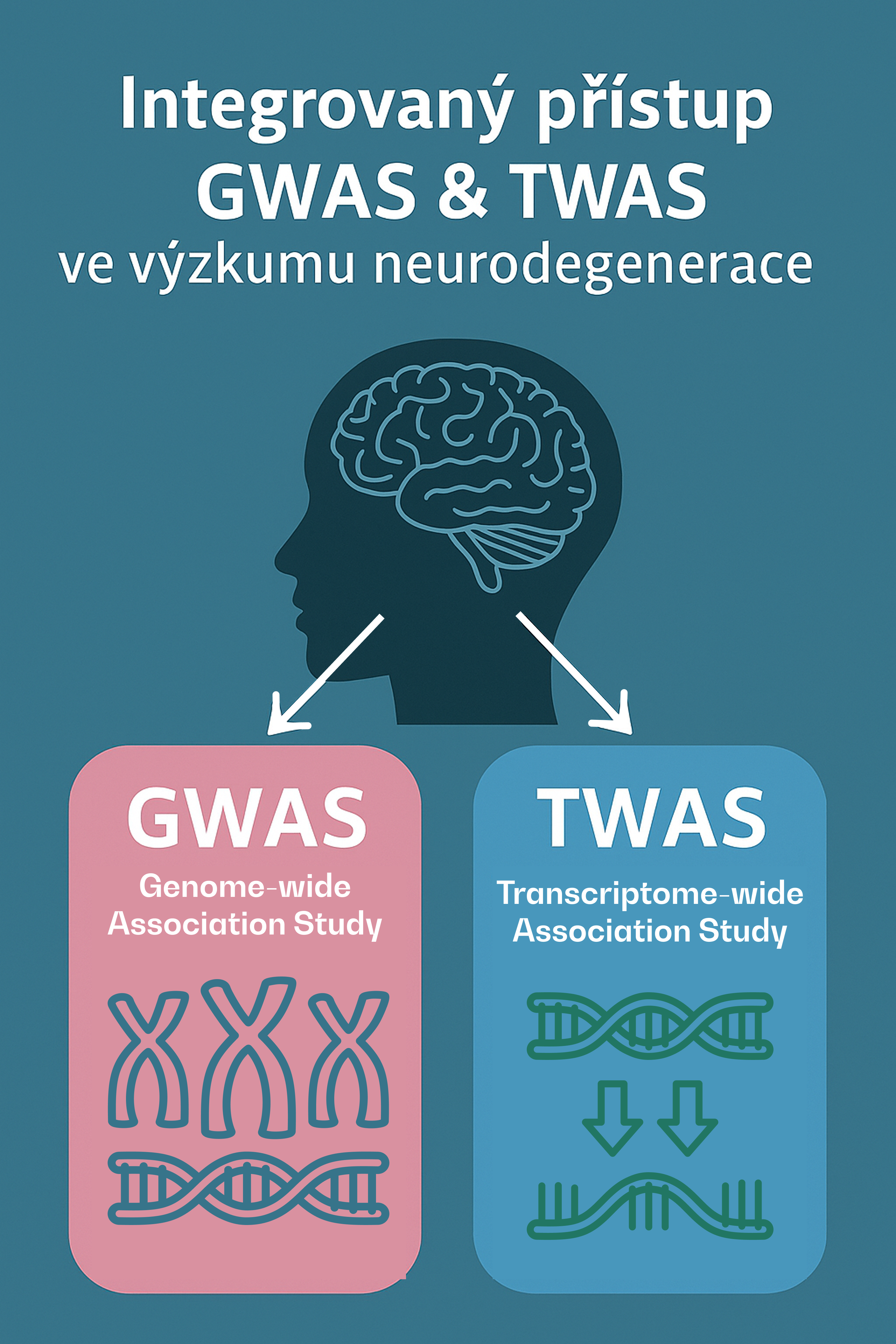 GWAS a TWAS