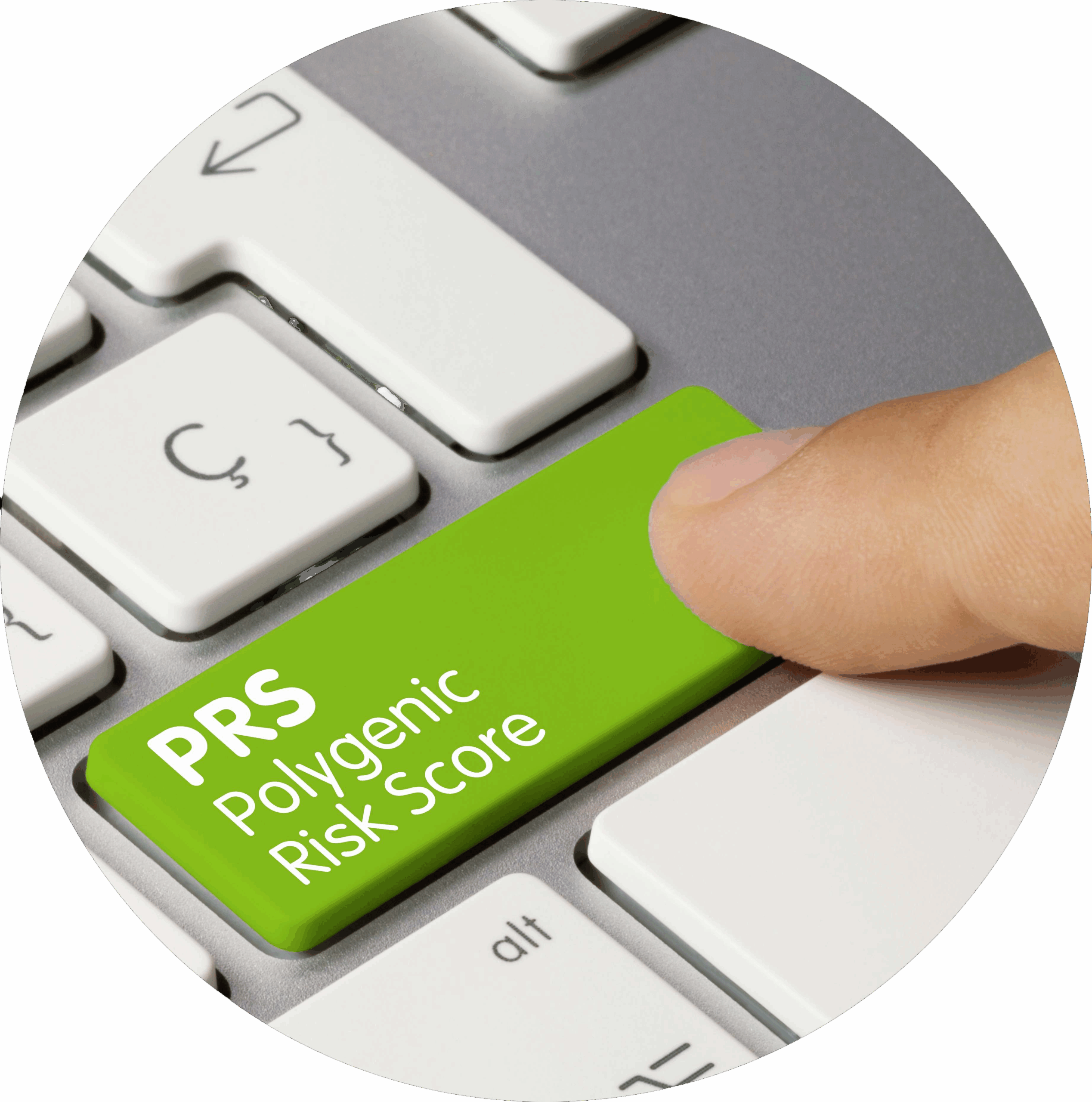 PRS kruh (1)