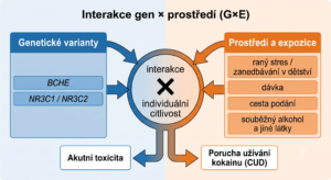Obrázek 2. Metabolická mapa kokainu