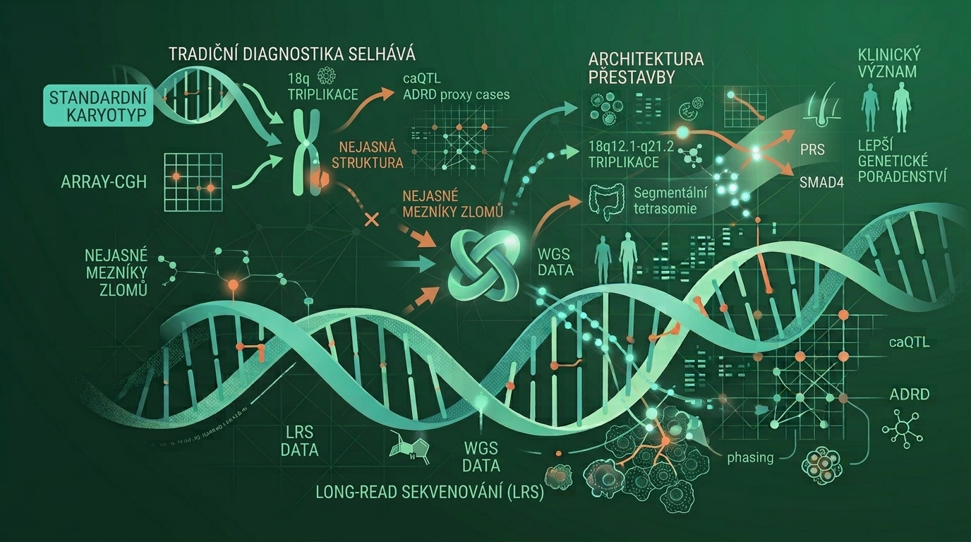 Dlouhá čtení v prenatální diagnostice rozklíčovaly složitou triplikaci chromozomu 18