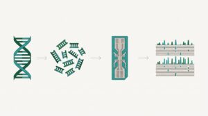 Schéma workflow NGS sekvenování: od DNA po výsledná data