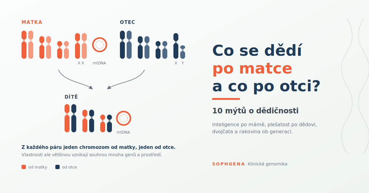 co-se-dedi-po-matce-a-co-po-otci-featured-1200x630