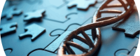 AdobeStock_1085962385 copy
