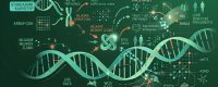 Dlouhá čtení v prenatální diagnostice rozklíčovaly složitou triplikaci chromozomu 18